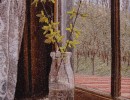 south window full