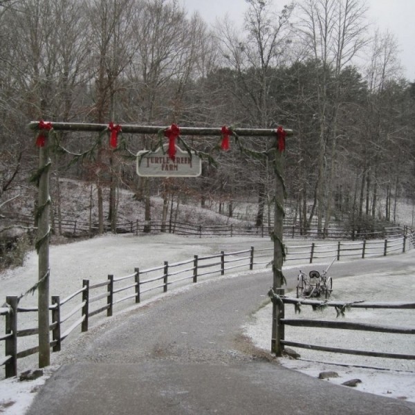 winter weather