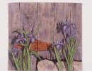 blue iris full