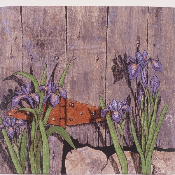 blue iris full