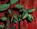 honeysuckle detail